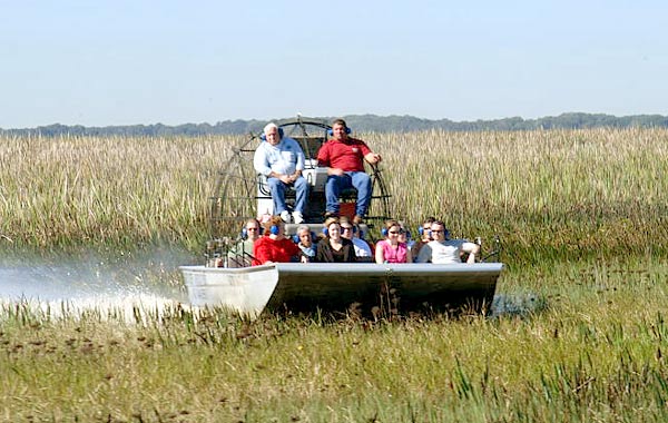 Boggy Creek 1 Hour Airboat Night Tour