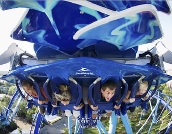 Manta Seaworld